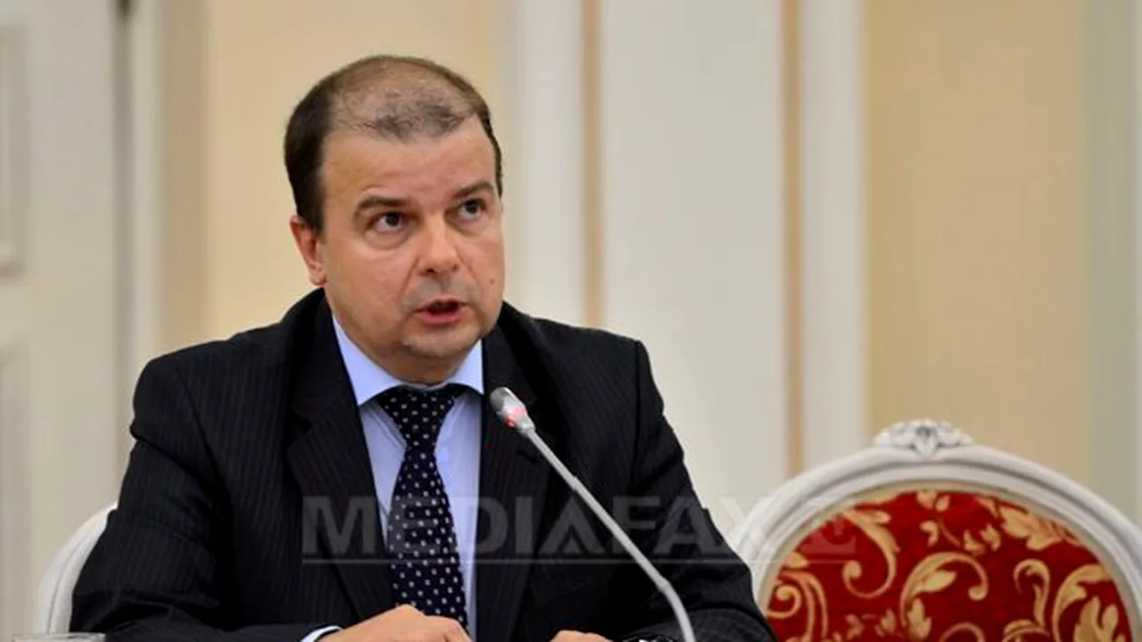 Preşedintele ICR: Vom cere stoparea procedurilor de revocare a conducerilor filialelor ICR din străinătate