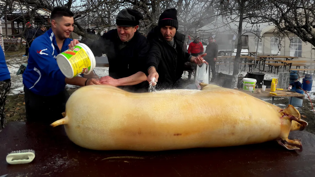 GALERIE FOTO, VIDEO Peste 30 de primari s-au întrecut la un concurs de tăiat porci cu scopul de a dona carnea 