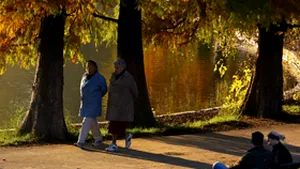 Senat: Parcurile, grădinile zoologice, botanice şi bazele sportive vor fi de utilitate publică