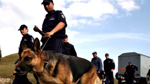 Căutarea avocatei Elodia Ghinescu, continuă şi astăzi, în judeţul Argeş