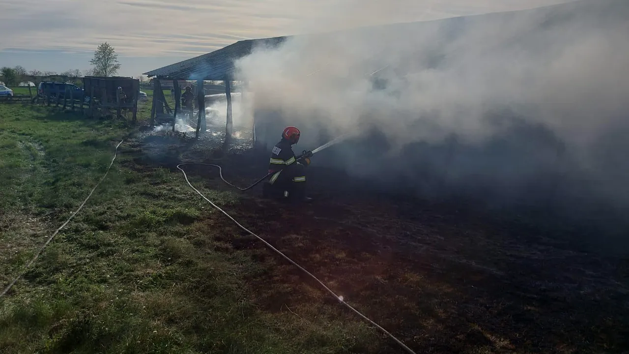 Incendiu la două adăposturi de animale dintr-o localitate din Arad
