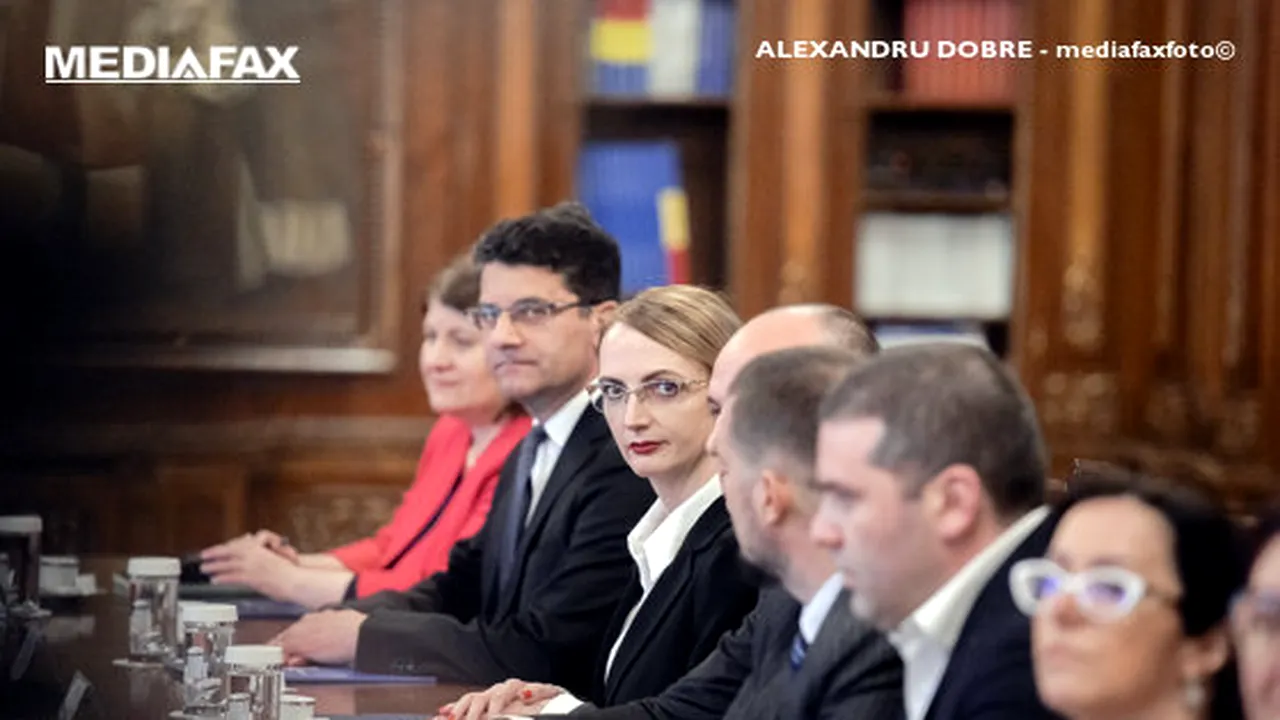 Preşedintele CSM, Lia Savonea, către CCR: Birchall nu mai este ministru, e inoportună soluţionarea conflictului