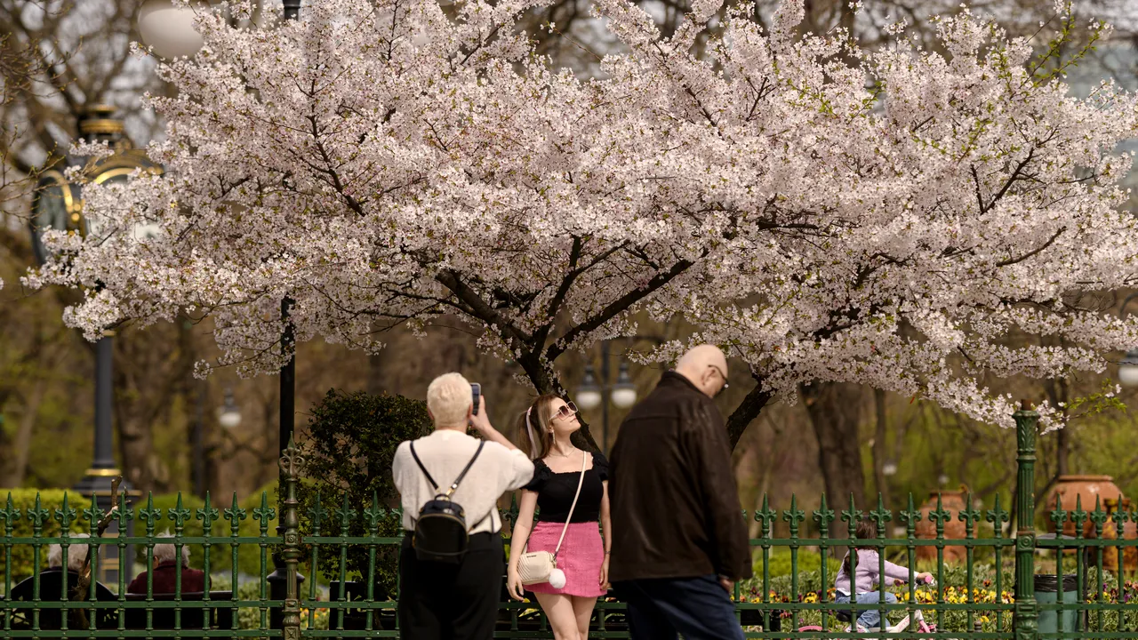 Prognoza meteo pentru Bucureşti: temperaturi ridicate în Capitală, dar şi condiţii de vânt