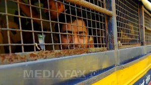 Trei bărbaţi din India, condamnaţi la moarte pentru comiterea repetată a unor violuri în grup