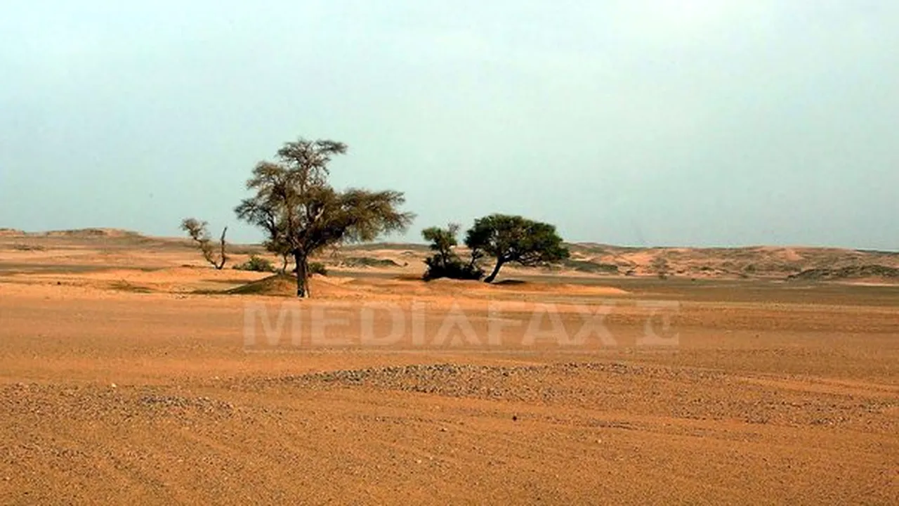 Răspunsul Europei la succesul gazelor de şist în SUA s-ar putea afla sub deşertul Sahara