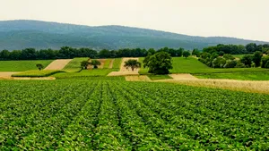 Nu doar războiul ar putea provoca o criză alimentară mondială. Un fenomen rar se conturează, experții sunt îngrijorați