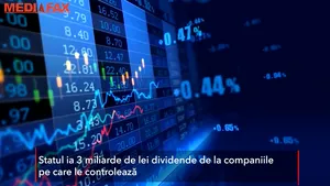 Cât încasează statul român de la companiile pe care le controlează, Petrom, Nuclearelectrica şi Transgaz