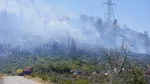 Incendiul din sudul Atenei a fost oprit. Riscurile însă rămân „foarte mari” in toată zona Attica