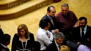 Convenţia Naţională a PDL, în mai 2013. Până atunci, Blaga rămâne preşedinte - surse