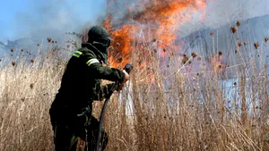 Un român, arestat în Sardinia sub acuzaţia de declanşare a unui incendiu