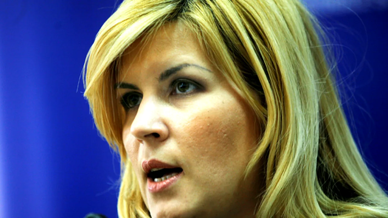 Udrea: Cine a construit ilegal pe litoral nu putea s-o facă fără acordul tacit al autorităţii locale