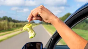 Un oraş din ţară declară război celor care aruncă gunoi. Ce se întâmplă cu maşinile şi căruţele din care se aruncă gunoi pe domeniul public