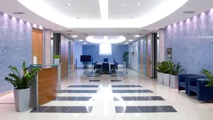 Plantele la birou combat oboseala, stresul şi alte probleme de sănătate