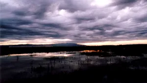2009 va fi un an optim din punct de vedere meteorologic