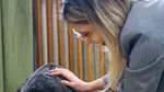 Pisică grav abuzată, adoptată de Ministerul Mediului / „Acest gest este despre responsabilitate, dar și despre puterea exemplului. Leia vine cu o poveste grea”