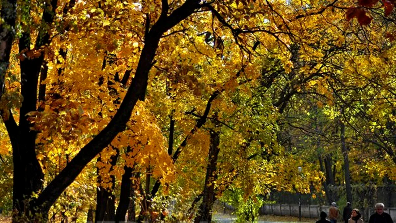 VREMEA va fi uşor mai caldă decât în mod normal pentru această dată. PROGNOZA METEO pentru vineri