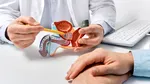 Descoperire importantă despre prostata mărită. Cercetătorii au identificat un tip de celule care ar putea explica fenomenul