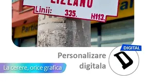 COMENTARIU Lelia Munteanu: Manea cultă, electorală