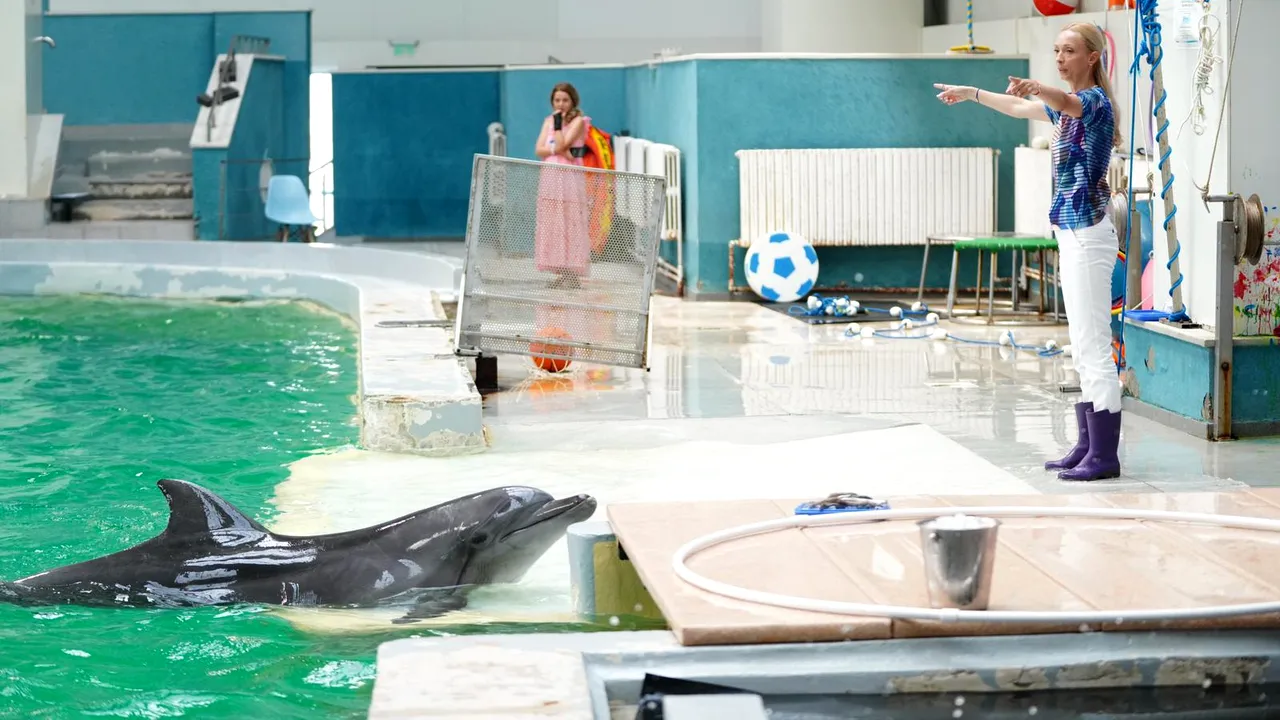 Corul Naţional de Cameră „Madrigal”, recital la Delfinariul din Constanţa. Replica delfinilor