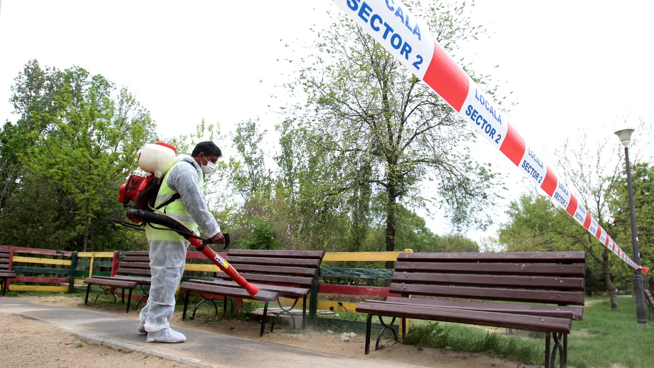 În Capitală începe aplicarea tratamentelor pentru combaterea căpuşelor