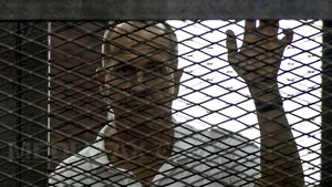 Jurnalistul australian Peter Greste a fost eliberat şi expulzat din Egipt