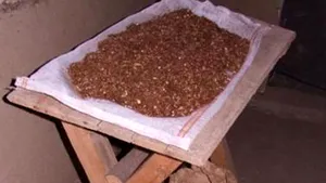 Călăraşi: Ţigări fabricate ilegal din tutun de la groapa de gunoi - FOTO