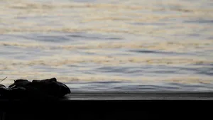 Sute de urne cu cenuşă umană provenind de la o clinică ce practică eutanasia, găsite în lacul Zurich