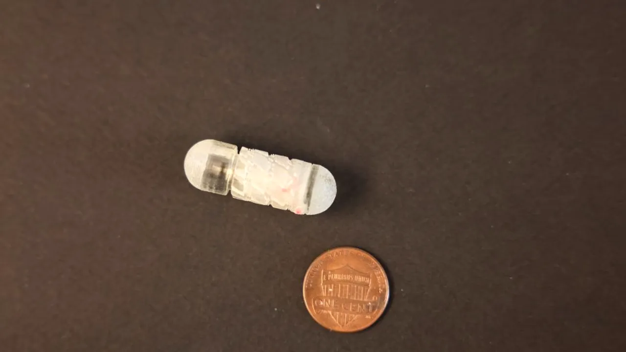 1-fd2l-cmwiaiqcb0 
