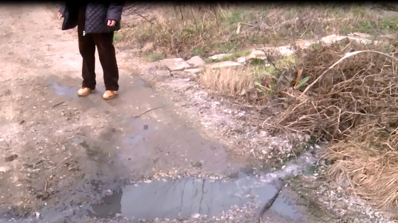 VIDEO | O livadă de nuci a fost distrusă de dejecţiile dintr-o conductă. Primar: Ce vrei să fac eu?