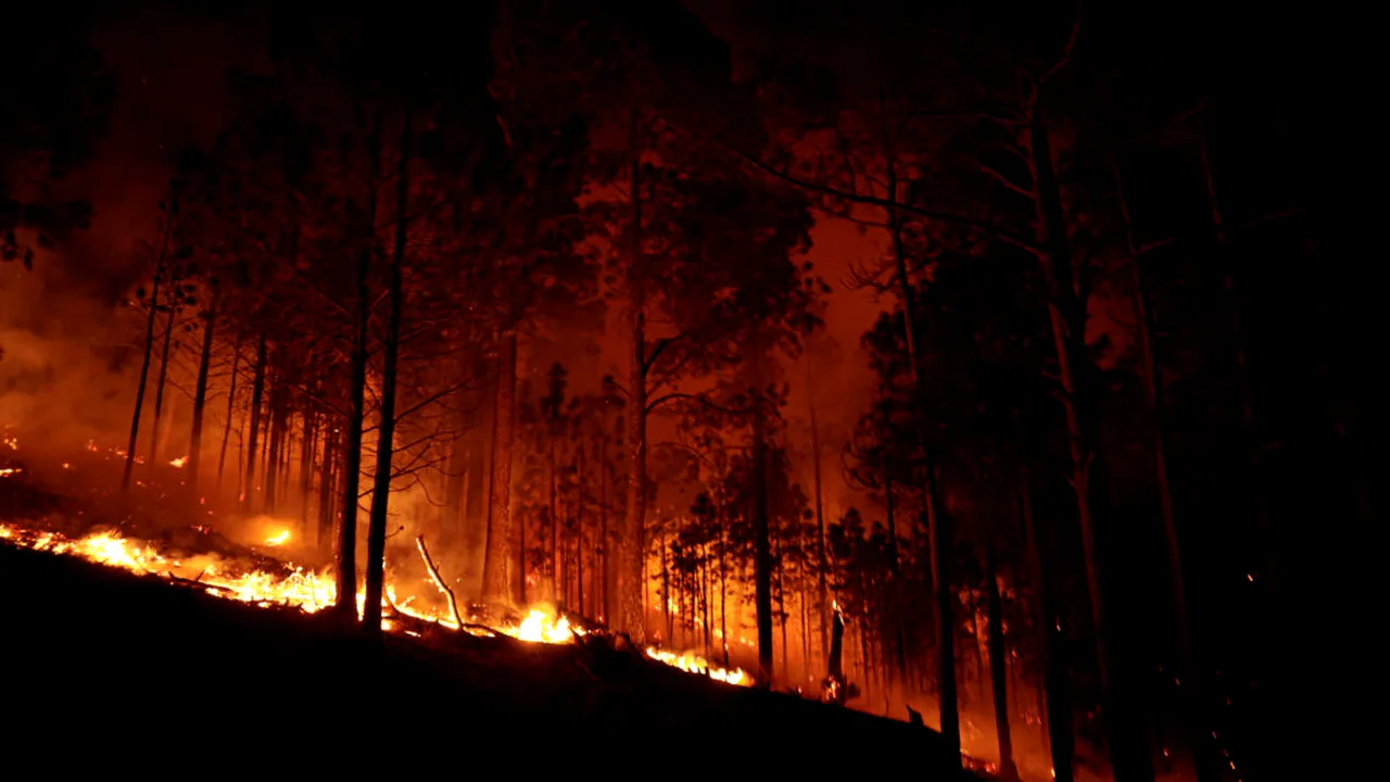 Argentina: 3000 de turiști au fost evacuați pe fondul incendiilor de vegetație