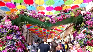 Festivalul florilor: Umbre colorate, demonstraţii florale şi „Aleea fericirii” pot fi admirate în centrul Timişoarei | GALERIE FOTO