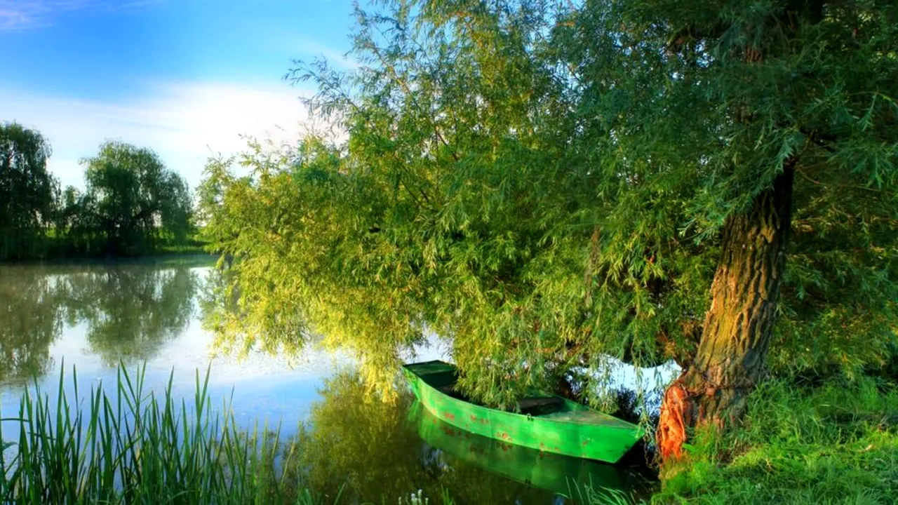 Delta Dunării – Între vis, ape și cântecul păsărilor