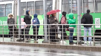 METEO Cod galben de vânt în șapte județe. ANM anunță rafale de până la 75 km/h