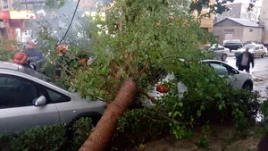 Bilanţ după furtună: Zeci de acoperişuri desprinse, 13 maşini afectate şi 7 copaci căzuţi