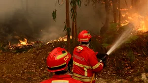 UE trimite avioane și sute de pompieri pentru a face față incendiilor devastatoare din Portugalia și Franța