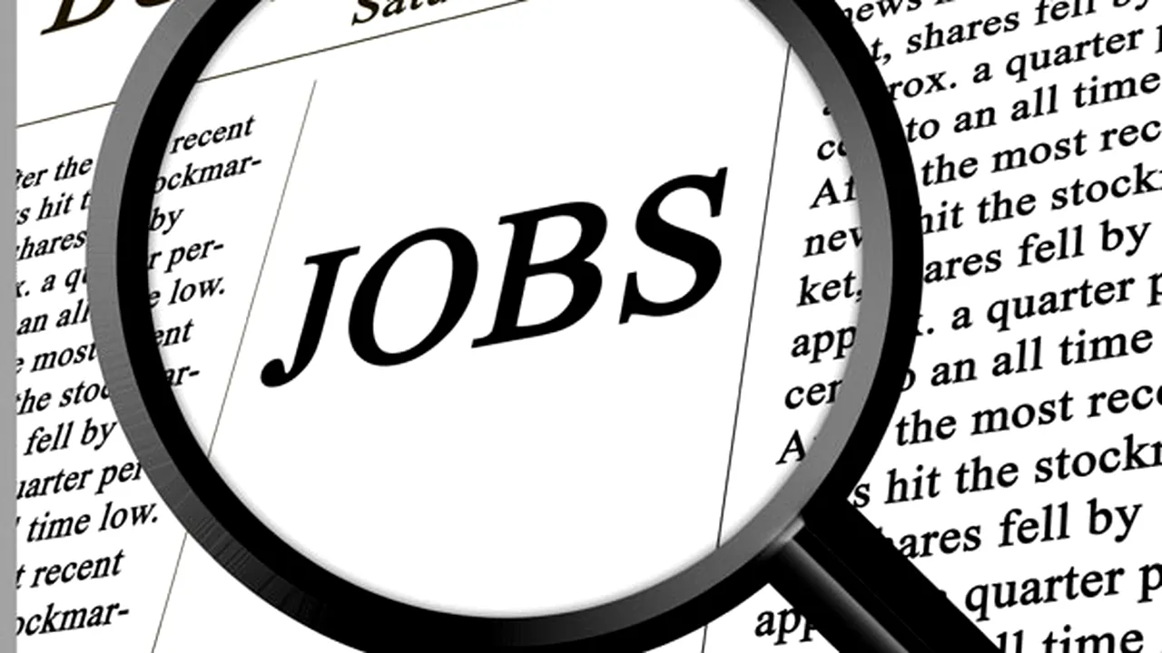 Numărul locurilor de muncă vacante a crescut. Care sunt domeniile în care se caută angajaţi