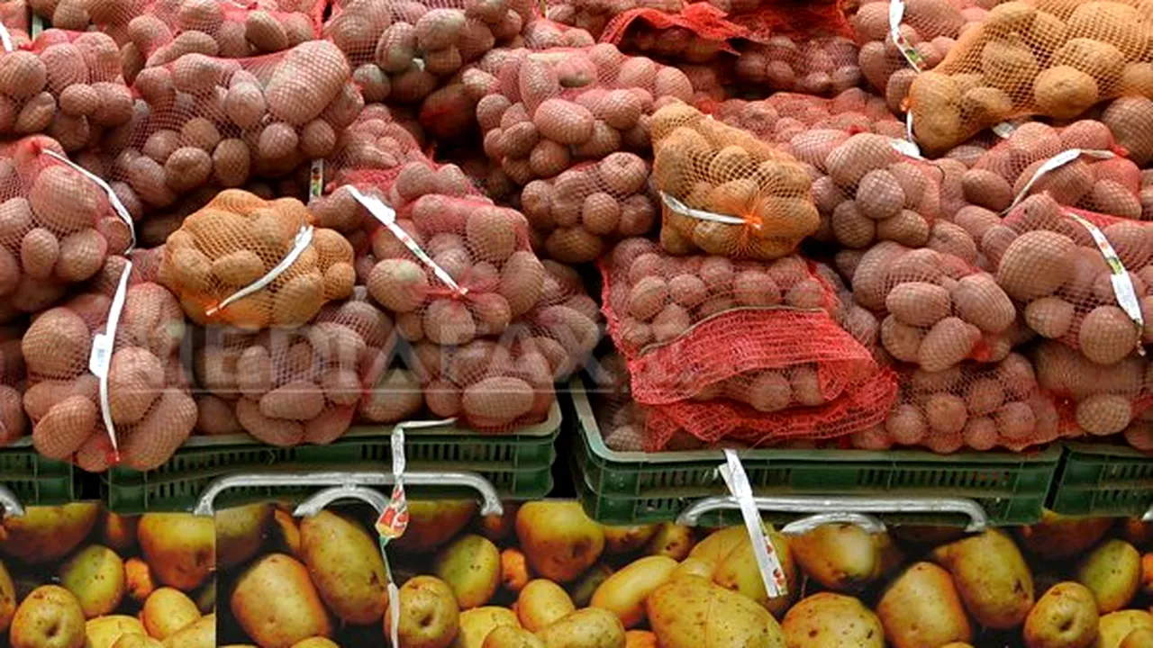 Prima livrare de legume de la producătorii români intermediată de Casa de Comerţ Unirea