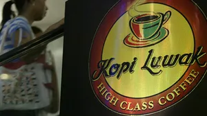 Cea mai scumpă cafea din lume se vinde şi în România