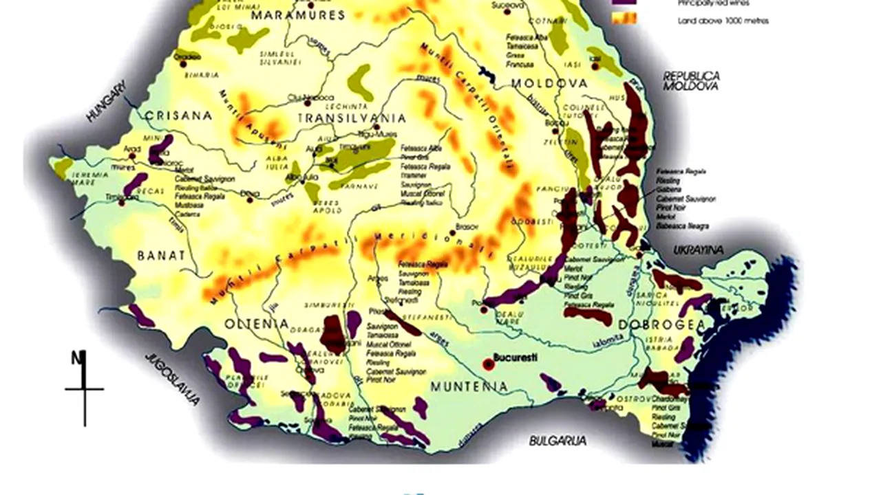 Principalele podgorii şi soiuri de struguri: Harta vinului românesc