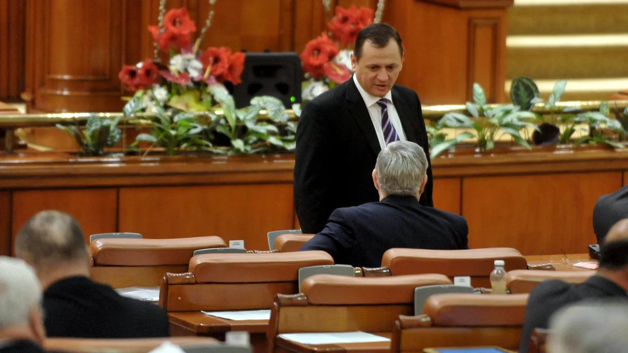 Miercuri, plen reunit pentru conducerea SIE/ Dragnea, ironic: Vlase are susţinere universală