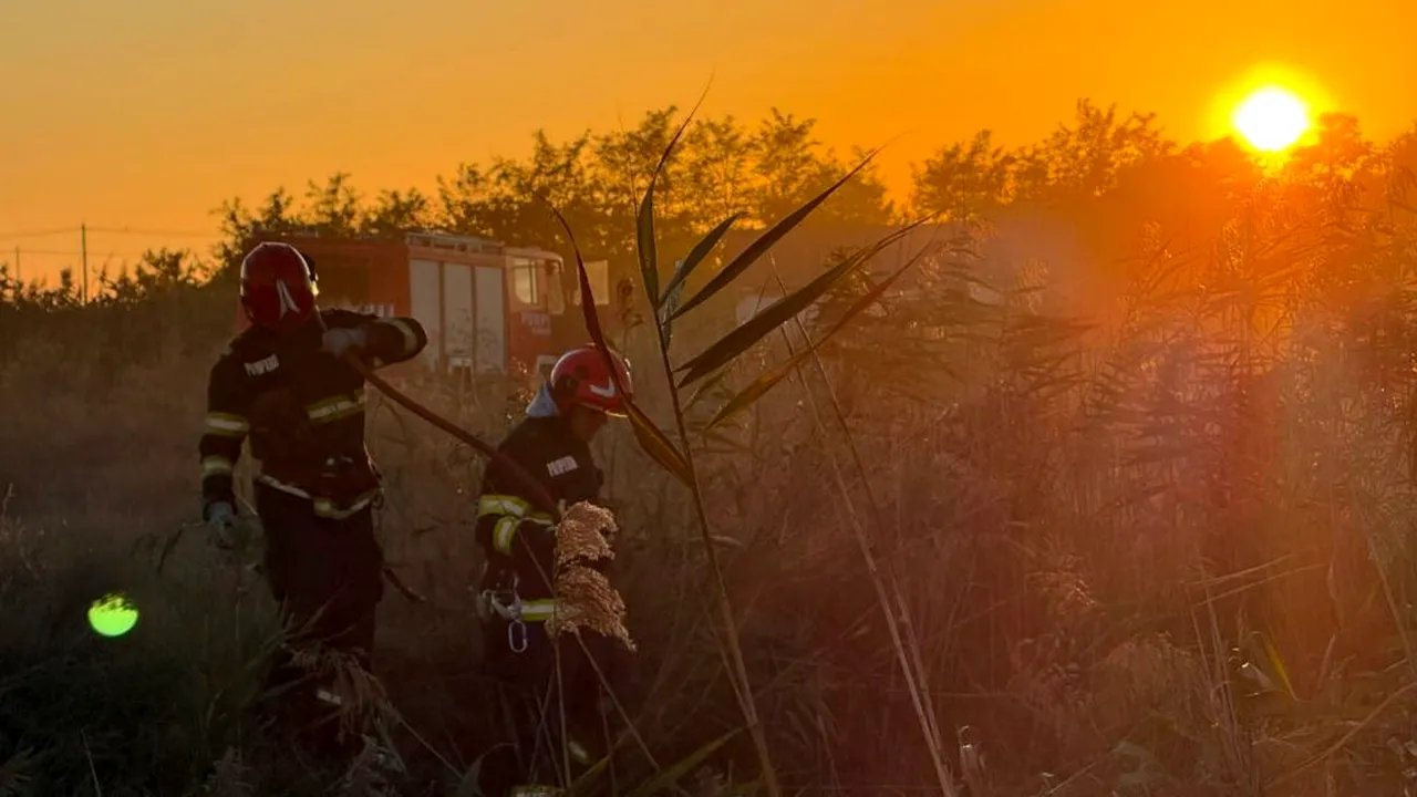 Două incendii de vegetație din județul Tulcea amenință zeci de locuințe și o fermă piscicolă din apropiere. Intervenție dificilă a pompierilor din cauza vântului puternic