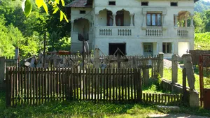 Ce copac nu trebuie plantat niciodată lângă casă? Experții avertizează asupra unui risc grav