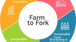 Tendinţe în industria alimentară şi în agrobusiness în 2024.„Farm to fork“ devine emblema industriei