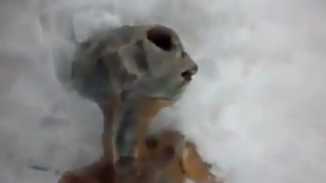 Extraterestrul descoperit în Siberia era un fals. Vezi din ce a fost făcut - FOTO