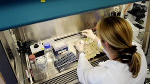 Irlanda confirmă primul său caz de gripă porcină