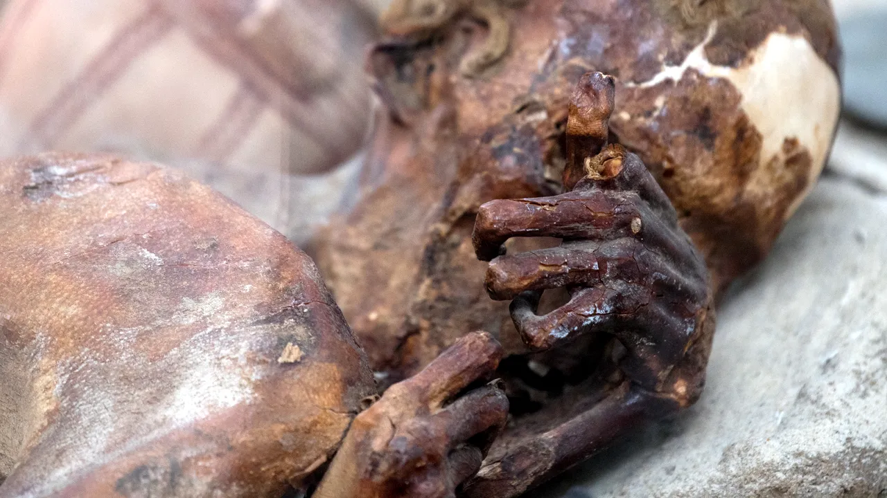 Boli cardiovasculare atribuite omului modern, identificate şi în artere mumificate de mii de ani