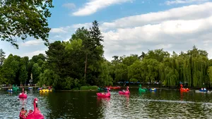 Ambarcaţiuni de tip dragoni, lebede şi flamingo, pe lacurile Chios şi Gheorgheni 1, din Cluj-Napoca