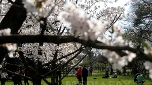 VREMEA până pe 30 martie. PROGNOZA METEO pentru următoarele două săptămâni