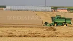 Comerţul agroalimentar UE-Ucraina a atins un record de 17 miliarde de dolari în 2024