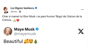 Mama lui Elon Musk, despre o postare cu Târgul de Crăciun din Craiova: Beautiful
